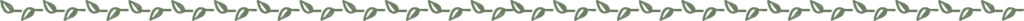 DIVIDER